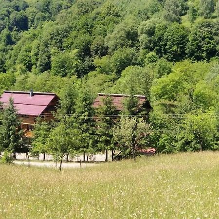 Pensiunea Simina Viseu de Jos Esterno foto