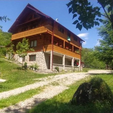 Pensiunea Simina Viseu de Jos Esterno foto