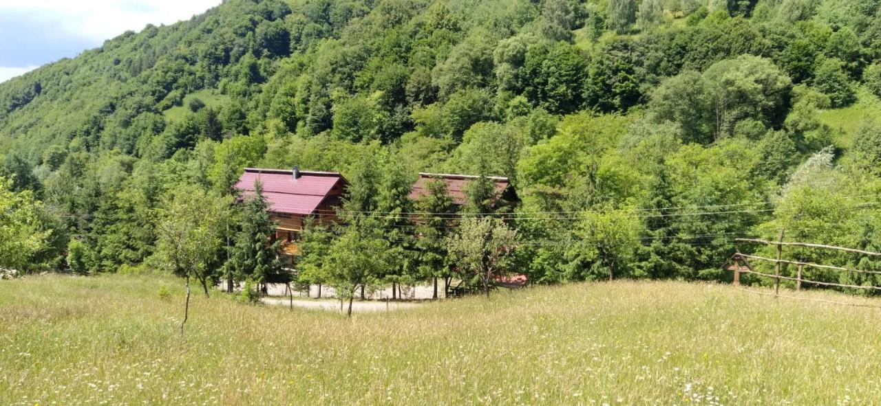 Pensiunea Simina Viseu de Jos Esterno foto