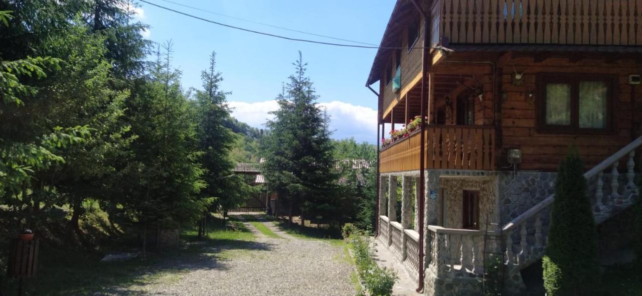 Pensiunea Simina Viseu de Jos Esterno foto