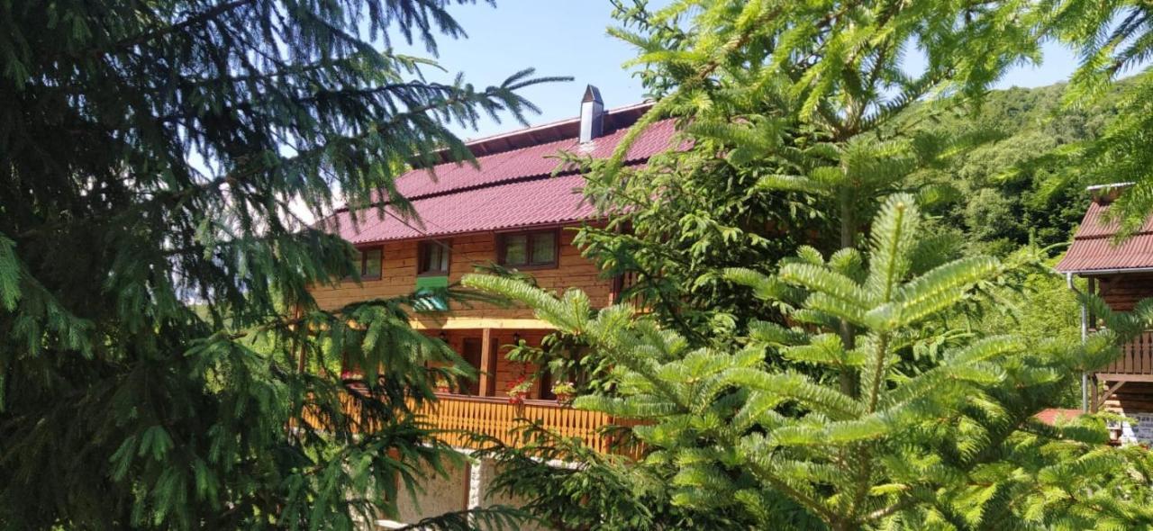 Pensiunea Simina Viseu de Jos Esterno foto