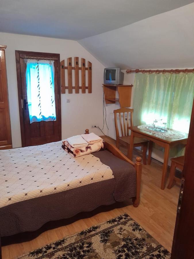 Pensiunea Simina Viseu de Jos Esterno foto
