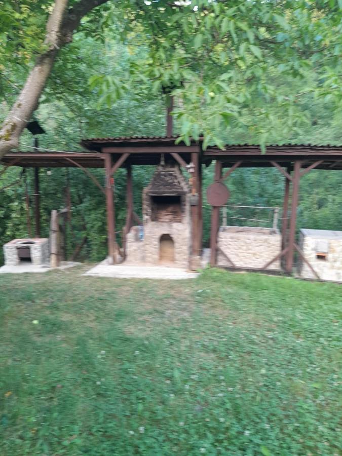 Pensiunea Simina Viseu de Jos Esterno foto