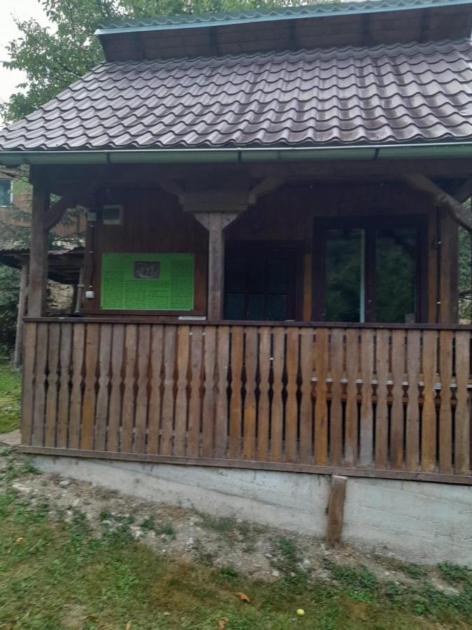 Pensiunea Simina Viseu de Jos Esterno foto